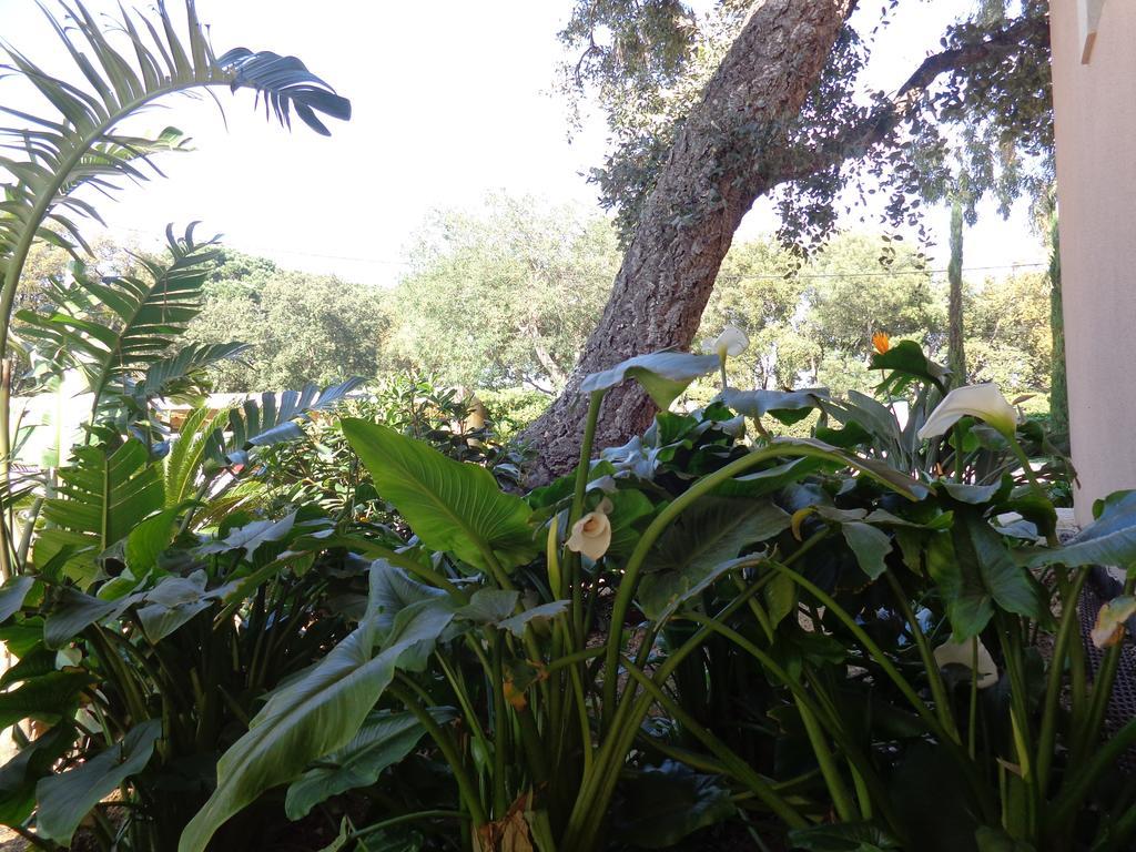Appartement Villa Angelina Grimaud Exterior photo